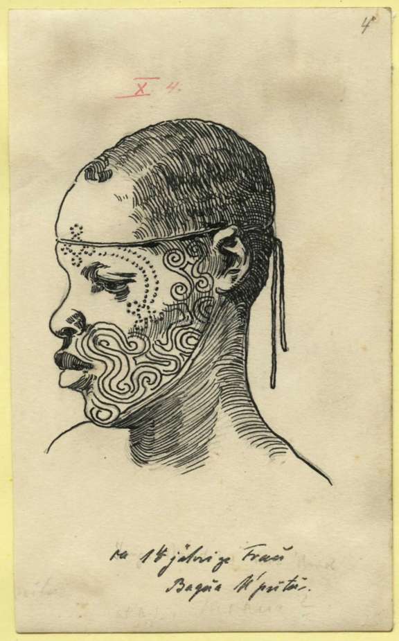 Young girl with frontal scarifications from the Bakwa Pmutu people, 1905. From a drawing by Hans Martin Lemme. © Frobenius-Institut, Frankfurt am Main