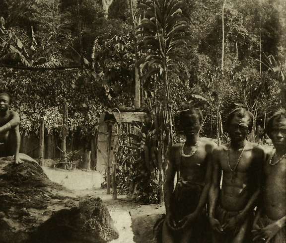 Dans un village Mbanza (est des Ngbaka), en 1896, une statuette en bois est placée contre un tronc d’arbre, au fond. © D.R.