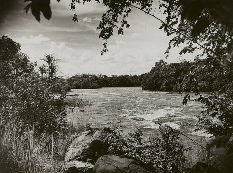 La rivière Luachimo, dans la région de Dundo, Angola. Photographie anonyme, vers 1940-1950. Donation du musée de Dundo, Musée du quai Branly-Jacques Chirac, Paris (Inv. PP0075712) © Musée du quai Branly - Jacques Chirac