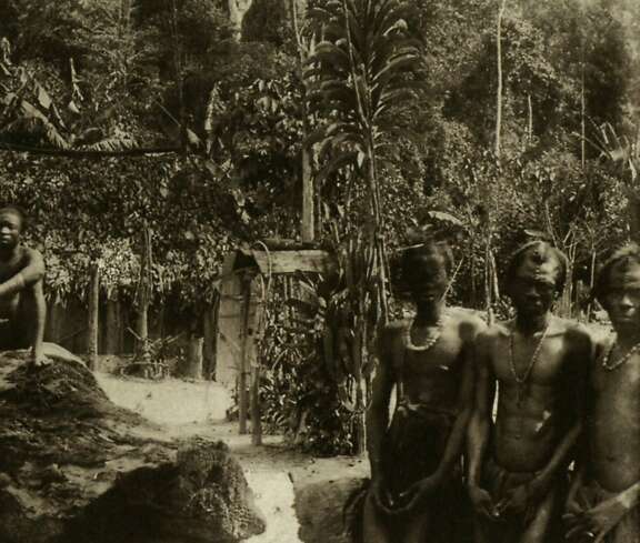 In a Mbanza village (east of the Ngbaka), in 1896, a wooden statuette is placed against a tree trunk, in the background. © D.R.